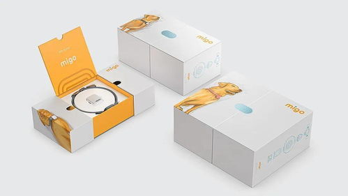 当凡尔赛遇上宠物设计 那些聊不完的话题与图文艺术